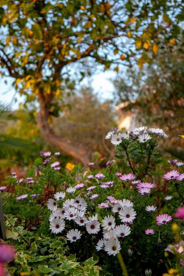 טרצ'ינה Villa Panoramica מראה חיצוני תמונה